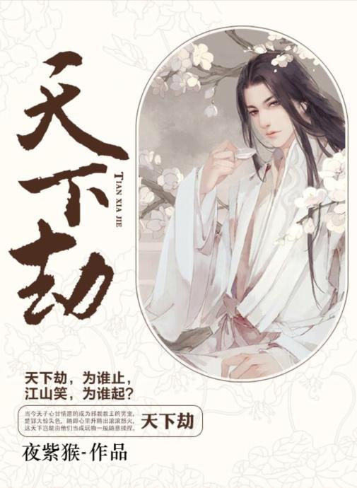 天下劫封面