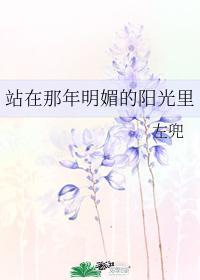 站在那年明媚的阳光里封面