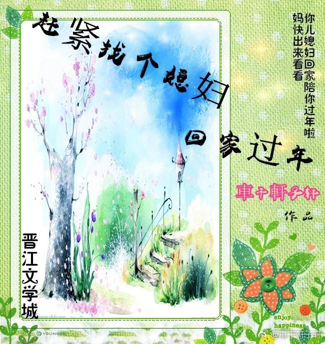 赶紧找个媳妇回家过年封面