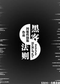 黑客法则封面