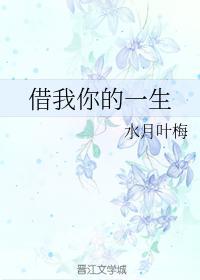 借我你的一生封面