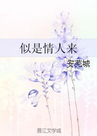似是情人来封面