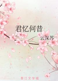 君忆何昔封面