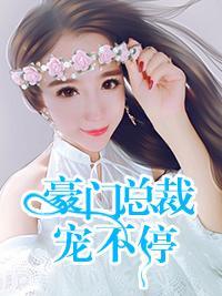 豪门总裁宠不停封面