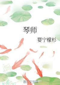 琴师封面