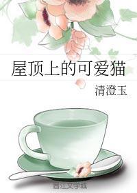 屋顶上的可爱猫封面
