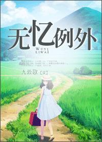 无忆例外封面