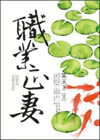 职业正妻封面