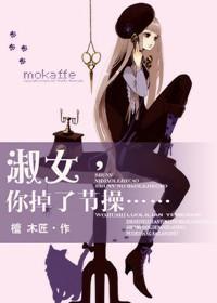 淑女，你掉了节操封面