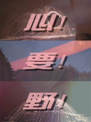 心要野封面