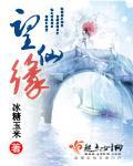 望仙缘封面