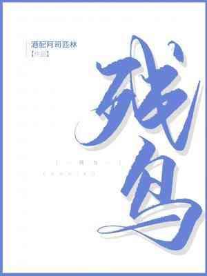 残鸟封面