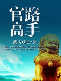 官路高手封面