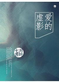 爱的虚影封面