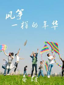 风筝一样的年华封面