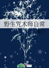 野生咒术师日常封面