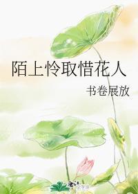 陌上怜取惜花人封面