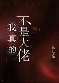 我真的不是大佬[无限]封面