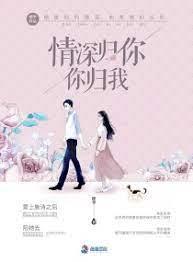情深归你你归我封面