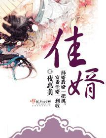 佳婿封面