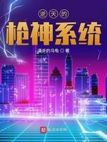 逆天的枪神系统封面