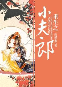 重生之小夫郎封面