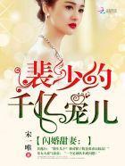 闪婚甜妻：裴少的千亿宠儿封面