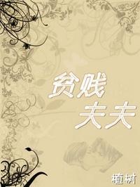贫贱夫夫封面