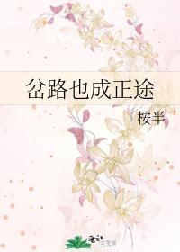 岔路也成正途封面
