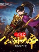 三国之公孙大帝封面