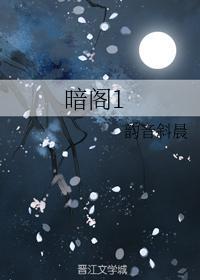 暗阁1封面
