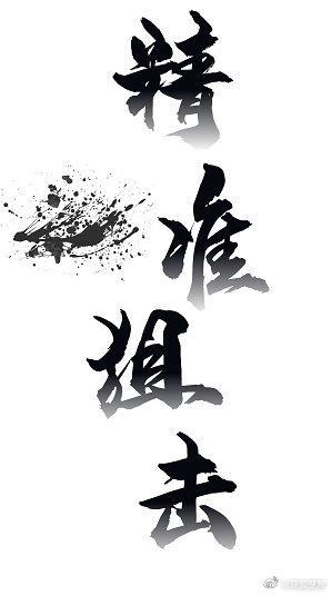 精准狙击封面