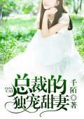 总裁的独宠甜妻封面