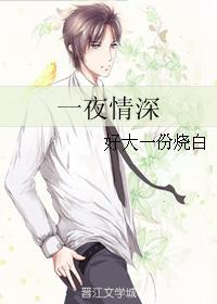 一夜情深封面