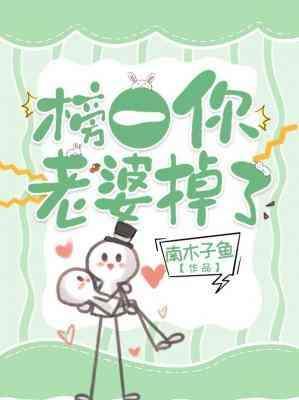 榜一你老婆掉了封面