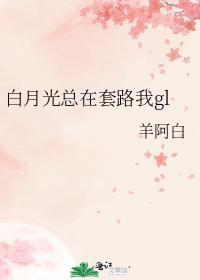 白月光总在套路我gl封面