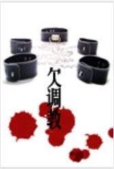 欠调教封面