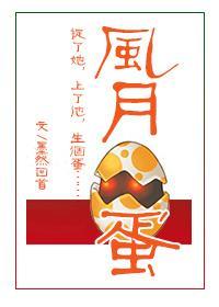 风月蛋封面