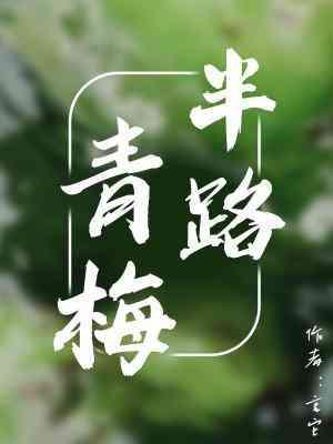 半路青梅封面