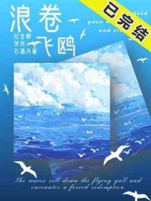 浪卷飞鸥封面