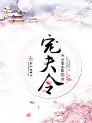 宠夫令封面
