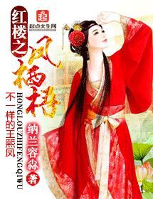红楼之凤栖梧封面