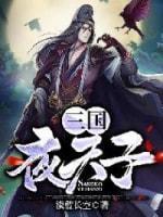 三国夜天子封面