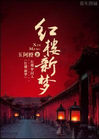 红楼新梦封面