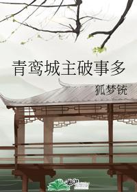 青鸾城主破事多封面