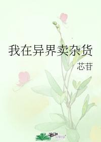 我在异界卖杂货封面
