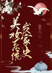 美妆系统发家史封面