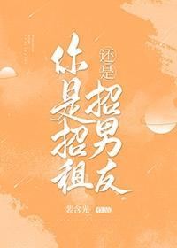 你是招租还是招男朋友封面