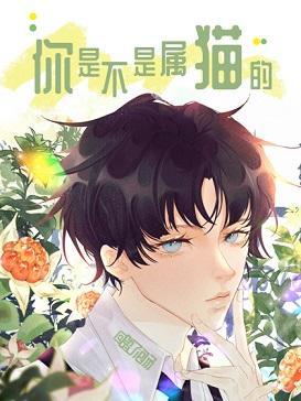 你是不是属猫的封面