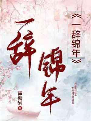 一辞锦年（改版）封面
